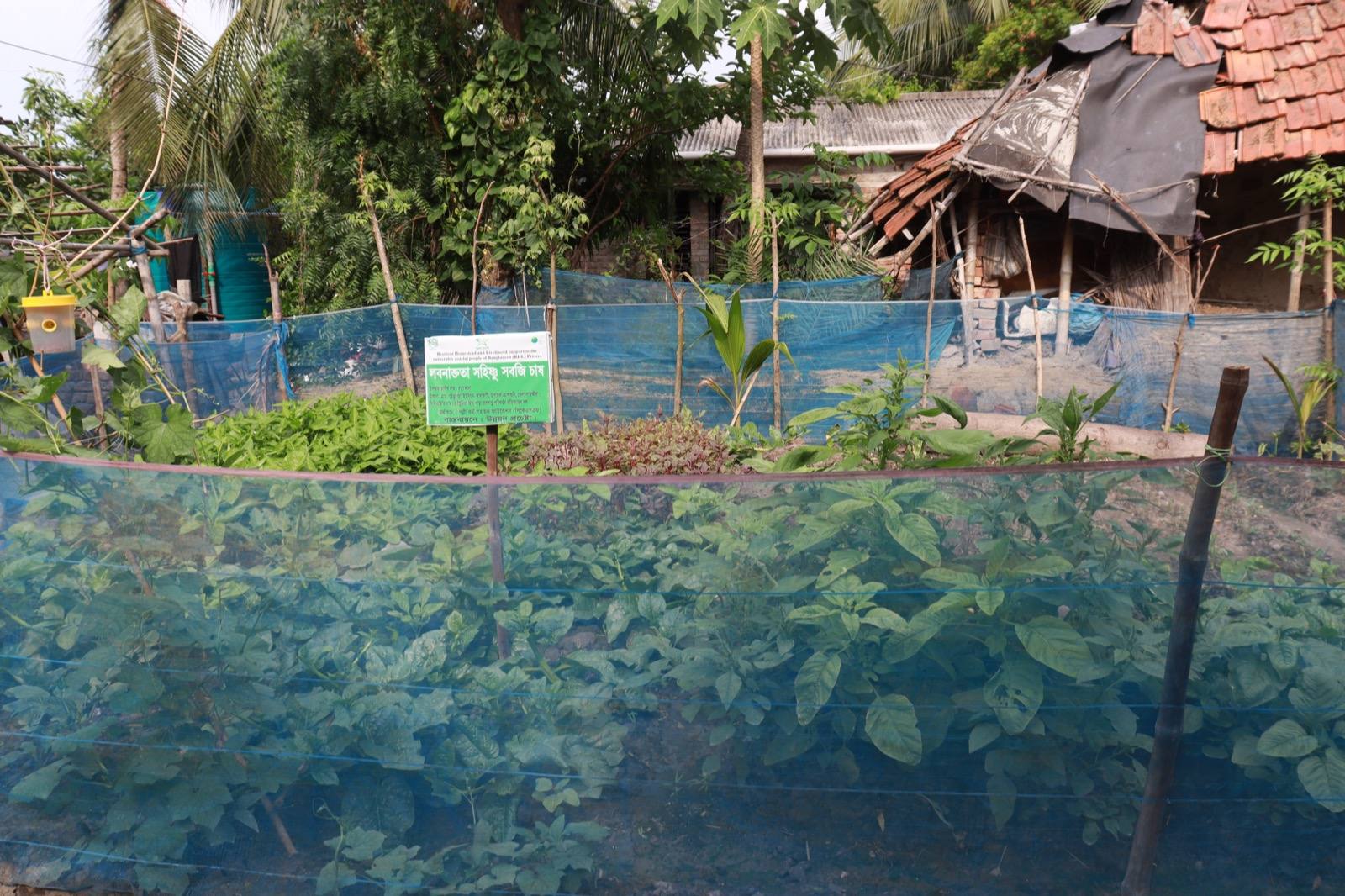 STAR Center Activities
